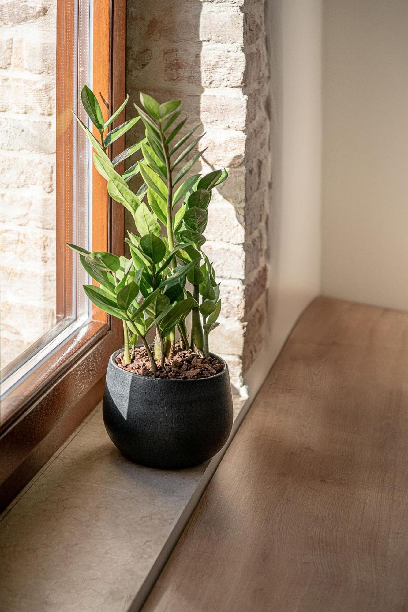 Ethos Suites Chania  Pokoj fotografie